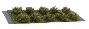 Martin Welberg Scenic Studios WB-SDOL - Bushes - Olive Green - Type D - 2cm-3cm - 10 pcs