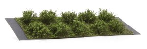 Martin Welberg Scenic Studios WB-SDMG - Bushes - Medium Green - Type D - 2cm-3cm - 10 pcs