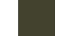 Tru Color Paint 034 - Acrylic - CN Green - 1oz