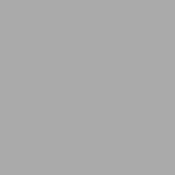 Tru Color Paint 172 - Acrylic - Weathered Concrete - Aged Concrete (Flat) - 1oz
