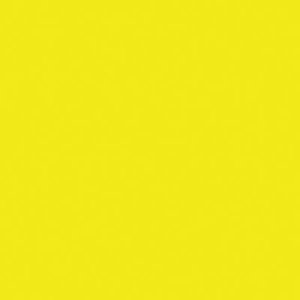 Tru Color Paint 534 - Acrylic - School Bus Yellow - 1oz
