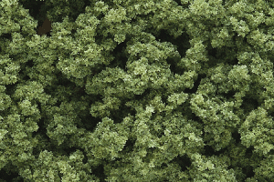 Woodland Scenics 182 Clump Foliage Light Green