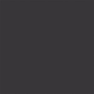 Tru Color Paint 805 - Flat Brushable Acrylic - Black - 1oz