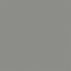 Tru Color Paint 855 - Flat Brushable Acrylic - Weathered Gray Wood - 1oz