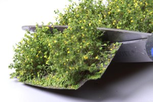Martin Welberg Scenic Studios WB-SDG - Bushes - Yellow - Low - Type D - 10 pcs - 2cm-3cm