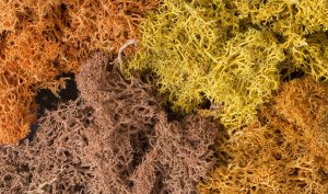 Woodland Scenics 165 - Lichen - Autumn Mix - Bag (86.6 in3)