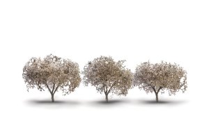 Woodland Scenics 3594 - All Scale Classic Trees - Ready Made - Cherry Blossom Trees, 1-3/4 - 2-1/...