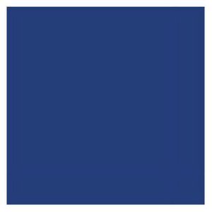 Tru Color Paint 137 - Acrylic Paint - Dakota, Minnesota & Eastern/ Iowa, Chicago & Eastern Blue (...