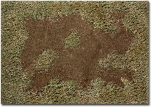 Martin Welberg Scenic Studios WB-M009 - Rough Meadow - Fall - Type E - Mat - 30cm X 21cm