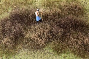 Martin Welberg Scenic Studios WB-M046 - Wild Shrubbery - Winter - Type F - Mat - 30cm X 21cm