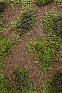 Martin Welberg Scenic Studios WB-M053 - FOREST FLOOR BURNT SUMMER TYPE "C" MAT 30x21cm