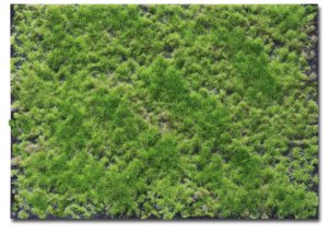 Martin Welberg Scenic Studios WB-P241 - Multi-Layered Tufts - Spring Tone 2-4mm