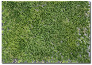 Martin Welberg Scenic Studios WB-PW242 - Layered Tufts - Summer w/ Weeds - 2mm-4mm