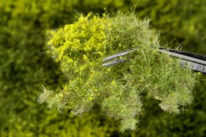 Martin Welberg Scenic Studios WB-PW261 - Layered Tufts - Spring w/ Weeds - 2mm-6mm