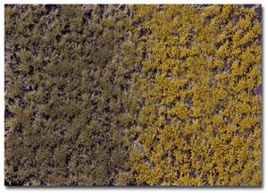 Martin Welberg Scenic Studios WB-PW404 - Tufts - Fall w/ Weeds - 4.5mm