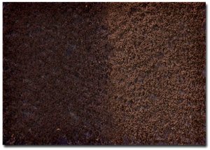 Martin Welberg Scenic Studios MB-PW406 - Tufts - Winter w/ Weeds - 4.5 mm