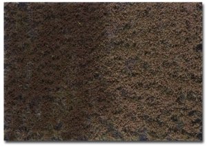 Martin Welberg Scenic Studios WB-PW606 - 6MM WINTER TUFTS WITH WEEDS/1 SHEET