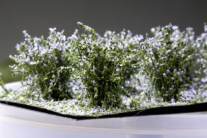Martin Welberg Scenic Studios WB-SAL - Bushes - Lavender - Type A