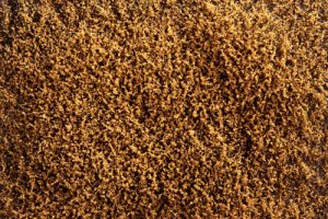 Martin Welberg Scenic Studios WB-SFAG - LOW - AUTUMN GOLD THICKET TYPE "F"