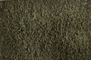 Martin Welberg Scenic Studios WB-SEBG - LOW BURNT GREEN THICKET TYPE "F"