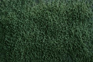 Martin Welberg Scenic Studios WB-SEHG - HIGH - HAZY GREEN THICKET TYPE 'E'