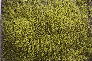 Martin Welberg Scenic Studios WB-SELG - HIGH - LIGHT GREEN THICKET TYPE 'E'