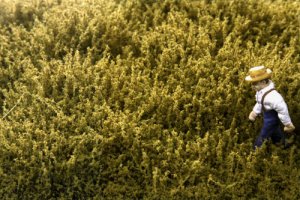 Martin Welberg Scenic Studios WB-SEM - HIGH - MOSS GREEN THICKET TYPE 'E'