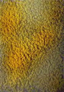 Martin Welberg Scenic Studios WB-PW224 - 2mm Multi-Layered Autumn Tufts with Weeds