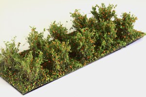 Martin Welberg Scenic Studios WB-SAO - Bushes - Orange - Type A - 2cm-3cm - 10 pcs