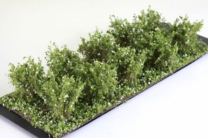 Martin Welberg Scenic Studios WB-SAW - Bushes - White - Type A - 2cm-3cm - 10 pcs