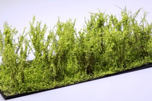 Martin Welberg Scenic Studios WB-SCLG - Bushes - Light Green - Type C - 10 pcs