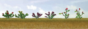 JTT 95557 - HO Assorted Flower Plants -- Set #1 pkg(12)