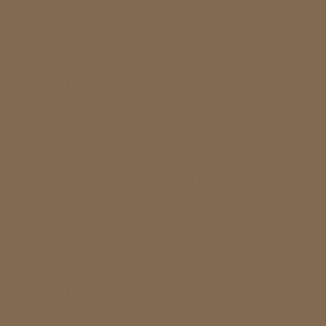 Tru Color Paint 824-2 - Flat Brushable Color Acrylic Paints - Earth - 2oz