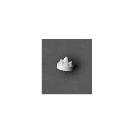 Detail Associates 1802 - HO Scale Radio Antennas - Whip Type pkg(6)