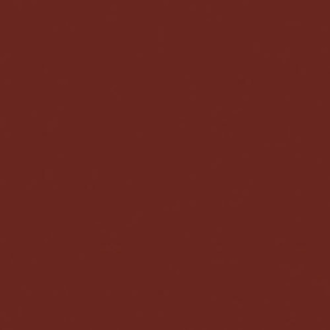 Tru Color Paint 196 - Acrylic CN 44-60 Ft Car Brown -1oz