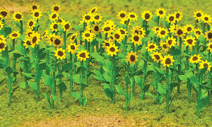 JTT 95523 - HO Sunflowers - Assembled -- 1" 2.5cm Tall pkg(16)