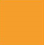 Tru Color Paint 060 - Acrylic - Alaska Railroad Yellow - 1oz