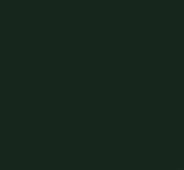 Tru Color Paint 062 - Acrylic - BNSF Green - 1oz