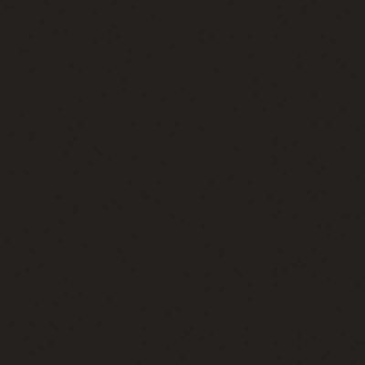 Tru Color Paint 1001 - Acrylic - Dull Black #82 - 1oz