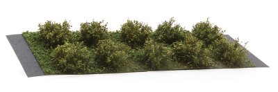 Martin Welberg Scenic Studios WB-SDOL - Bushes - Olive Green - Type D - 2cm-3cm - 10 pcs