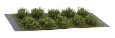 Martin Welberg Scenic Studios WB-SDMG - Bushes - Medium Green - Type D - 2cm-3cm - 10 pcs
