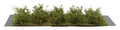 Martin Welberg Scenic Studios WB-SDO - Bushes - Orange - Type D - 2cm-3cm - 10 pcs
