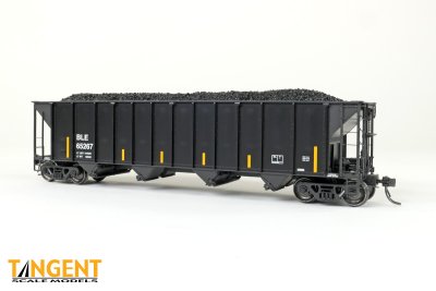 Tangent 32063-20 - HO Bessemer and Lake Erie (BLE) “Conspicuity Repaint” 2005+ Pullman-Standard 3...