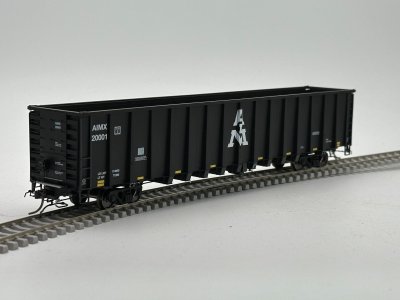 Otter Valley Railroad 60000-2 - HO NSC 64 Ft 6000 Cubic Gondola HS - AIMX (6 pkg) #2