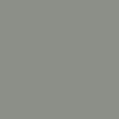 Tru Color Paint 348 - Acrylic - Weathered Gray Wood- 1oz