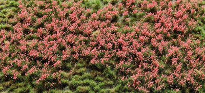 Martin Welberg Scenic Studios WB-PP2122 - Layered Tufts - Flowers - Pink - 12mm