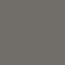 Tru-Color Paint 801 - Flat Brushable Color Acrylic Paints - 1oz 29.6mL -- Flat Concrete