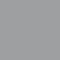 Tru Color Paint 013- Acrylic - Aluminum- 1oz