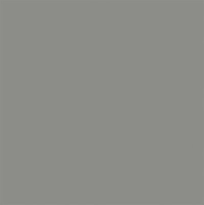 Tru Color Paint 855 - Flat Brushable Acrylic - Weathered Gray Wood - 1oz