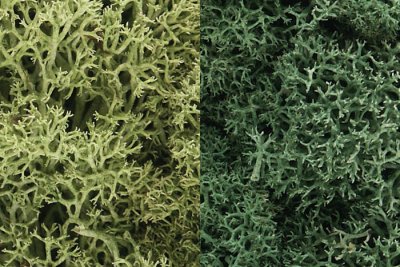 Woodland Scenics 167 Lichen Light Green Mix